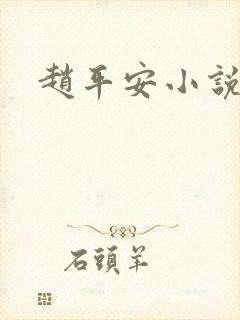 赵平安小说主角