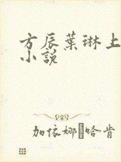 方辰叶琳上官步小说