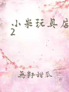 小米玩具店老板2