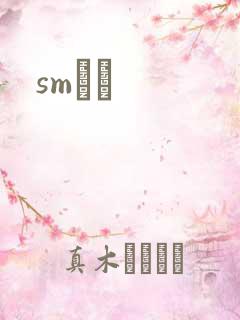 smˮŰ