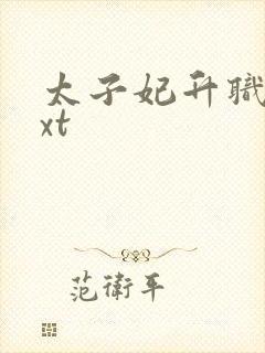 太子妃升职记txt