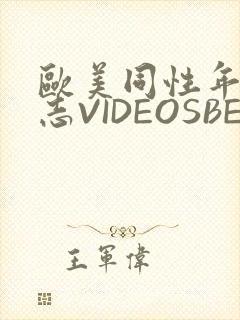 欧美同性年轻同志VIDEOSBEST