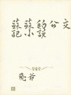 苏苏的公交车日记小说