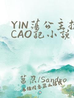 YIN荡公主挨CAO记小说