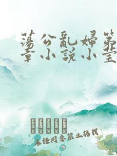 荡公乱妇第51章小说小莹