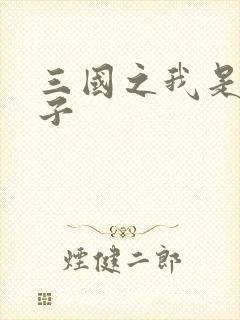 三国之我是皇太子