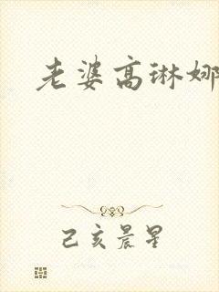 老婆高琳娜出轨