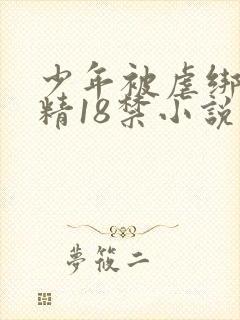 少年被虐绑着榨精18禁小说