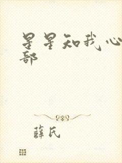 星星知我心第二部
