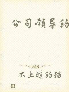 公司领导的老婆