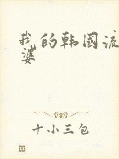 我的韩国流氓老婆