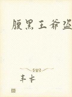 腹黑王爷盗墓妃