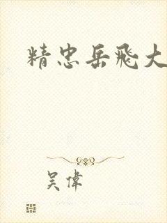 精忠岳飞大结局