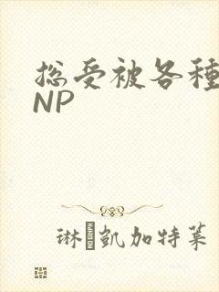 总受被各种姿势NP