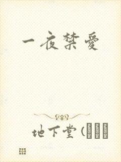 一夜禁爱