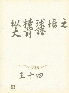 纵横球场之暴力大前锋