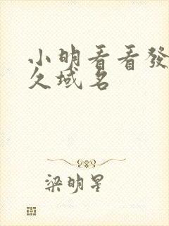 小明看看发布永久域名