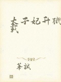 太子妃升职记下载