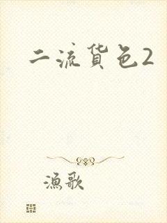 二流货色2