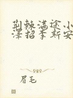 荆棘满途小说李泽招李斯安