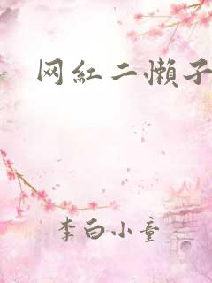 网红二懒子车祸