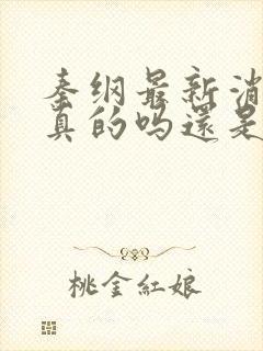 秦纲最新消息是真的吗还是假的