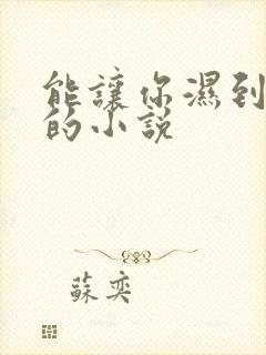 能让你湿到不行的小说