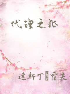 代理之狐