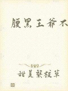 腹黑王爷不良妻