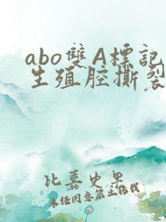 abo双A标记生殖腔撕裂