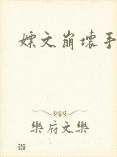 嫖文崩坏手册