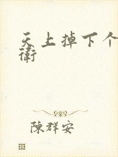 天上掉下个影卫卫