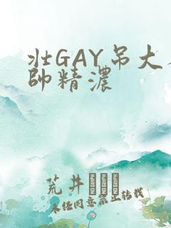 壮GAY吊大人帅精浓