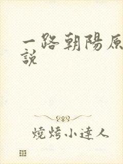一路朝阳原著小说