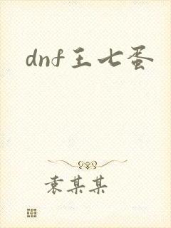dnf王七蛋