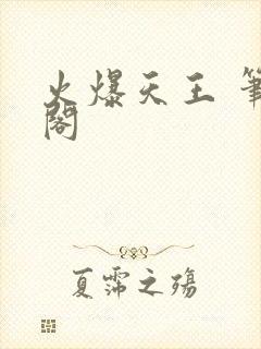 火爆天王 笔趣阁