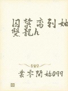 囚禁脔到她哭h双龙h