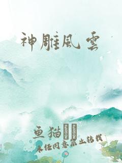 神雕风云