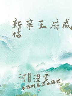 新宁王府成人网站