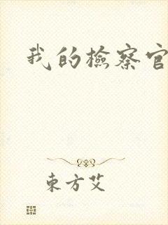 我的检察官先生