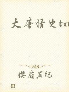 大唐情史txt