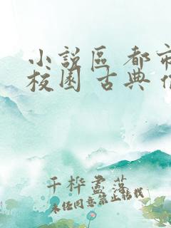 小说区 都市 校园 古典 偷拍