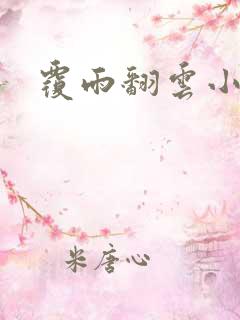 覆雨翻云小说