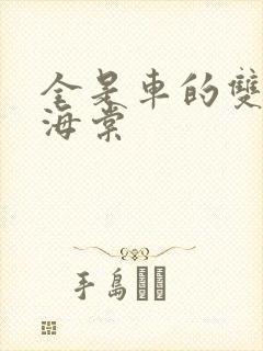 全是车的双男主海棠