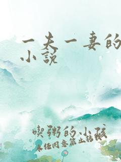 一夫一妻的玄幻小说