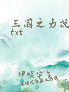 三国之力挽狂澜txt
