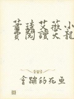 萧琰艾薇小说免费阅读天龙殿