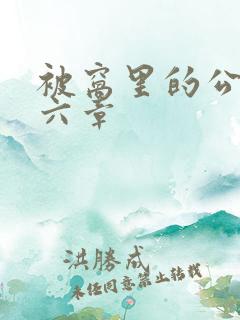 被窝里的公息十六章