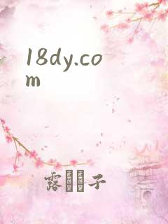 18dy.com