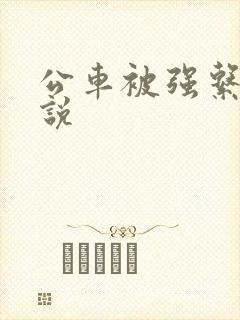 公车被强系列小说